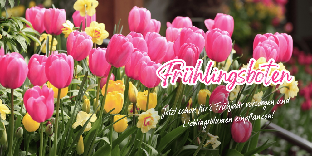 Hier blüht Ihnen was!