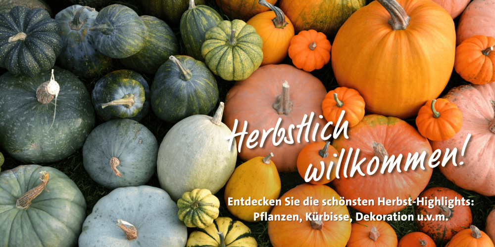 Hier blüht Ihnen was!