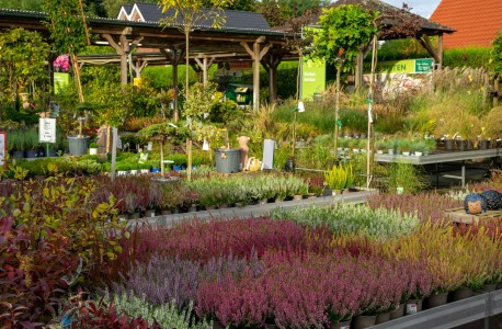 Gartencenter Hilgert | Baumschule und Stauden