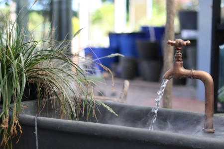 Gartencenter Hilgert | Wasser im Garten