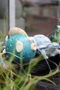 Gartencenter Hilgert | Wasser im Garten