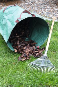 Gartencenter Hilgert | Pflege und Zubehör