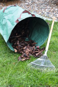 Gartencenter Hilgert | Pflege und Zubehör